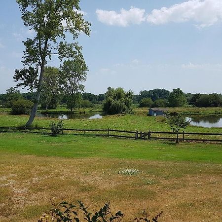 Gite 4Kms Plage Grand Domaine Prive Lacs Natura 2000 Lit-et-Mixe Zewnętrze zdjęcie