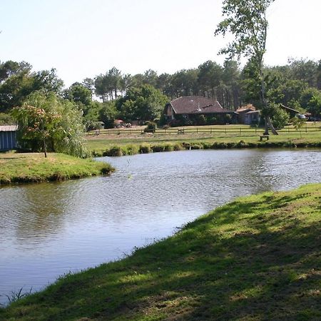 Gite 4Kms Plage Grand Domaine Prive Lacs Natura 2000 Lit-et-Mixe Zewnętrze zdjęcie