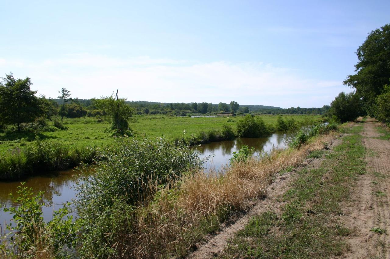 Gite 4Kms Plage Grand Domaine Prive Lacs Natura 2000 Lit-et-Mixe Zewnętrze zdjęcie