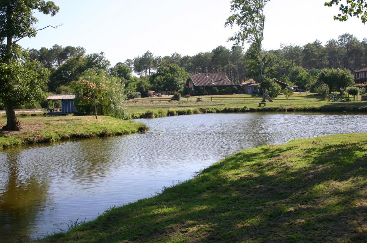 Gite 4Kms Plage Grand Domaine Prive Lacs Natura 2000 Lit-et-Mixe Zewnętrze zdjęcie